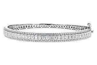 F301-01252: BANGLE 4.19 E.C. 5.30 TW